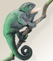 Chameleon Puppet - Folkmanis (2215)