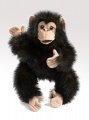 Chimpanzee, Baby Puppet - Folkmanis (2877)