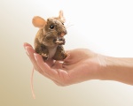 Mini Field Mouse Finger Puppet - Folkmanis (2652)