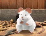 Mini White Mouse Finger Puppet 2776 New/2019 /usa Folkmanis for sale online 