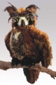 Great Horned Owl Puppet - Folkmanis (2403) - FREE SHIPPING!