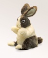 Baby Dutch Rabbit Puppet - Folkmanis (2571)