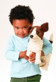 Jack Russell Terrier (Smooth Coat) Puppet - Folkmanis (2848)