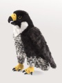 Peregrine Falcon Puppet - Folkmanis (3055)