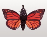Monarch Lifecycle Puppet - Folkmanis (3073)