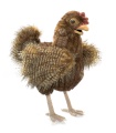 Hen Hand Puppet - Folkmanis (3094) - FREE SHIPPING!