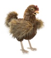 Hen Hand Puppet - Folkmanis (3094)