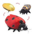 Ladybug Lifecycle Puppet - Folkmanis (3148)