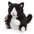 Tuxedo Kitten Puppet - Folkmanis (3179)