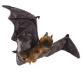 Fruit Bat - Folkmanis (3191)