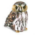 Pygmy Owl - Folkmanis (3195)