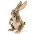 Jack Rabbit Puppet - Folkmanis (3200)