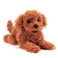 Toy Poodle Puppy - Folkmanis (3206)